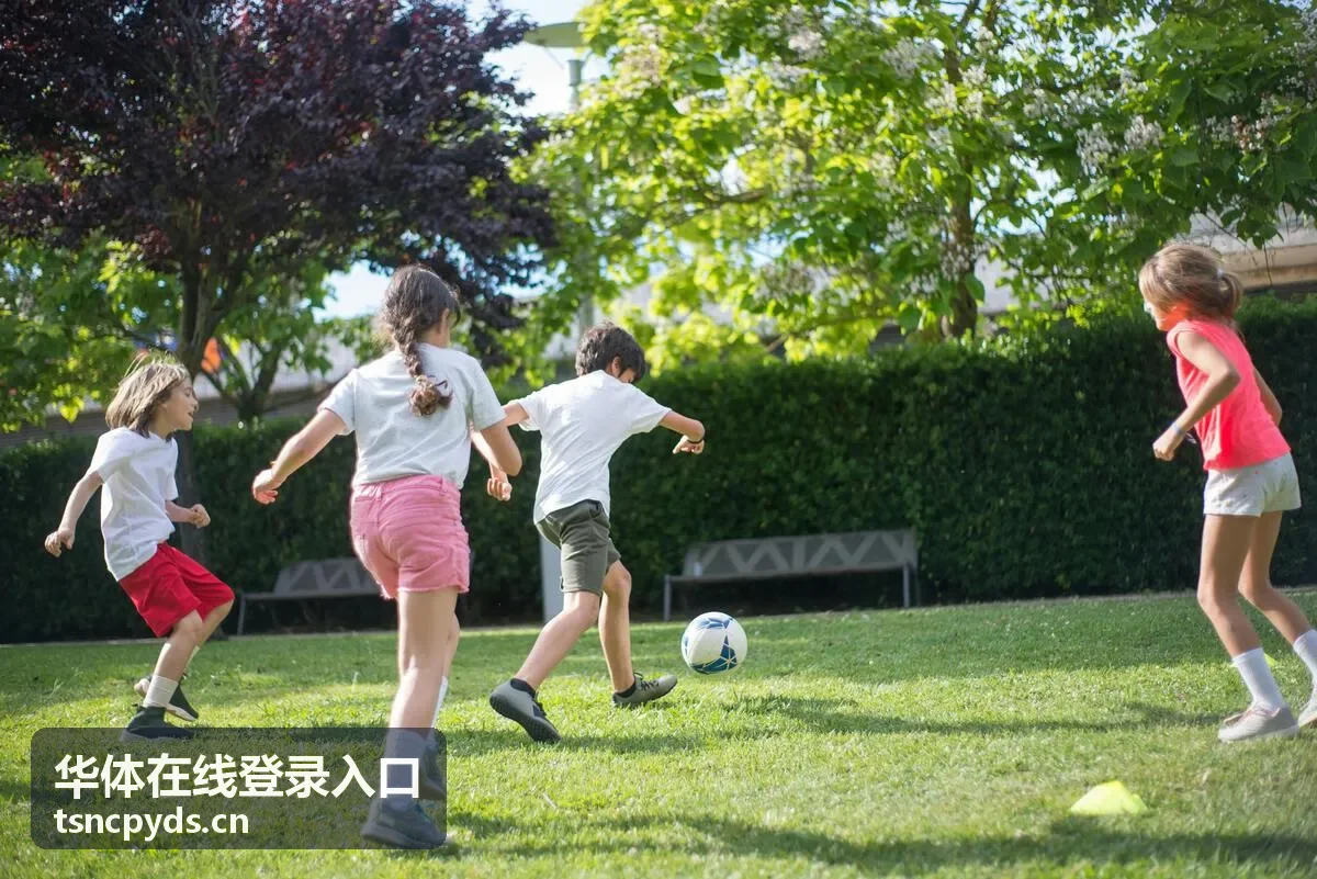 华体在线登录入口赛事现场与在线服务通道画面