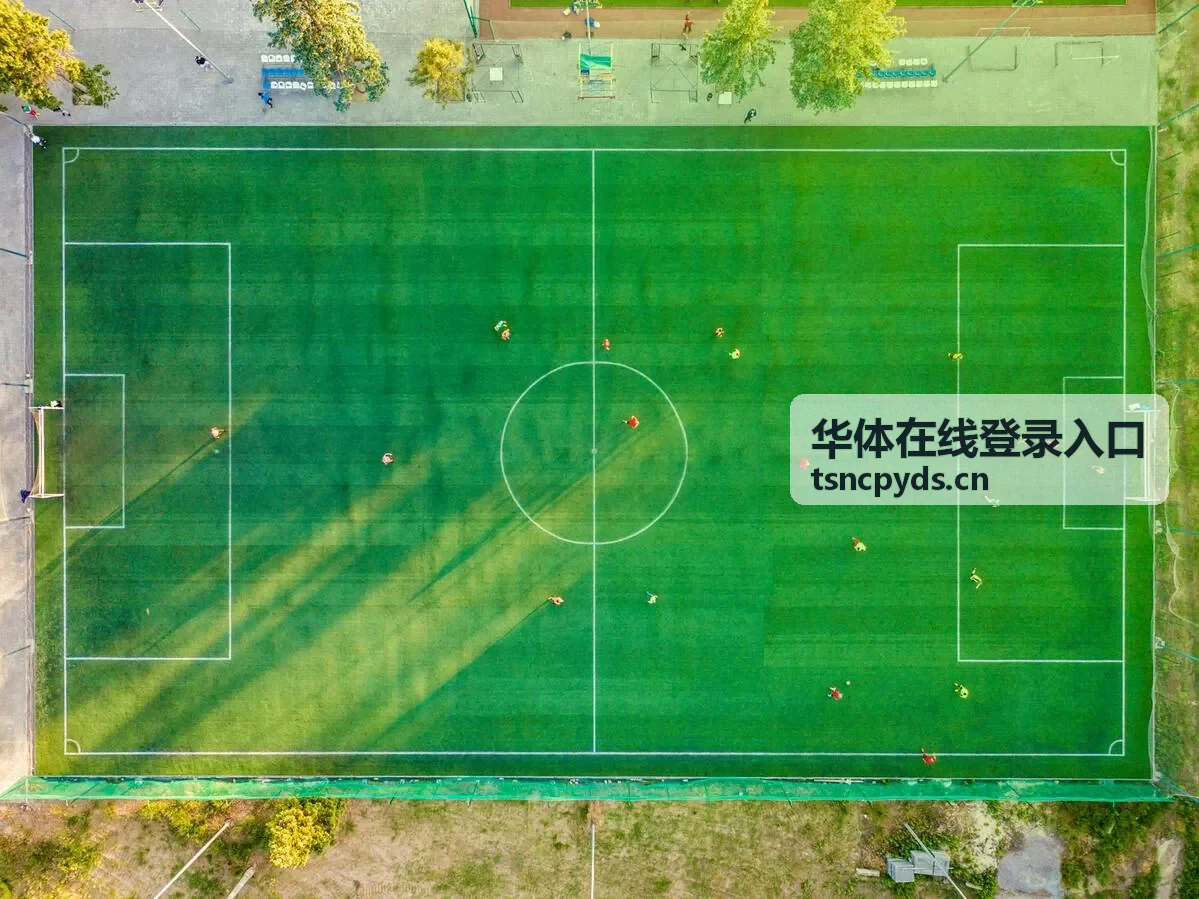 华体在线登录入口赛事专题解读配图