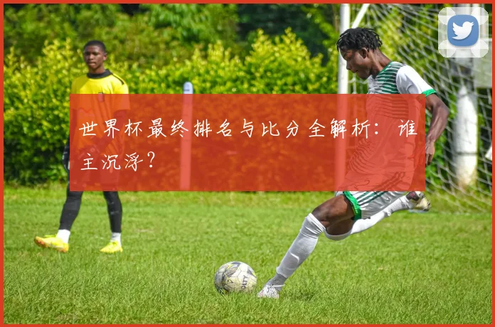 世界杯最终排名与比分全解析：谁主沉浮？